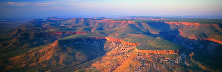 0000023225_Activities_header