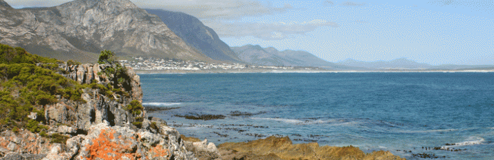 0000008917_Hermanus_Header