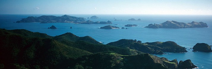 NZ