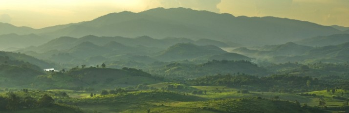 0000012664_MAIN_HEADER_ISTOCK