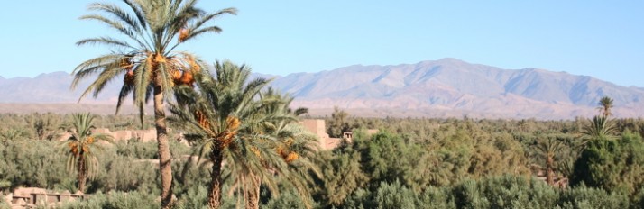 0000007624_Ouarzazate_jk