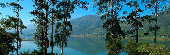 Hill Country - Sri Lanka