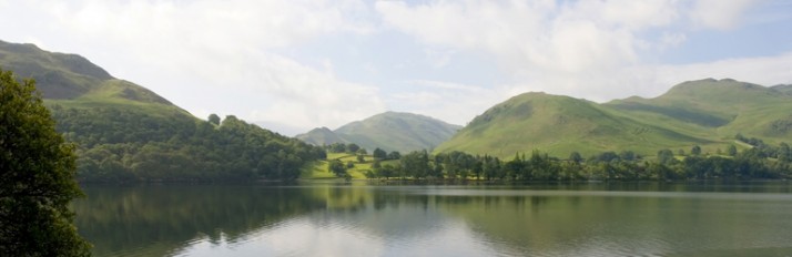 activities header