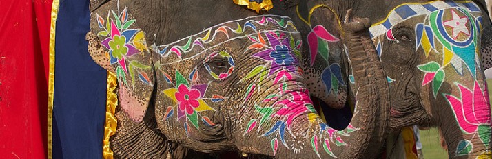 Jaipur - India