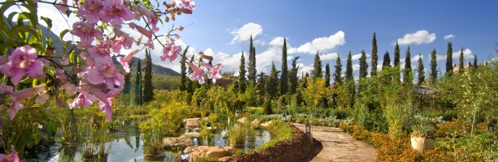 Kasbah Gardens