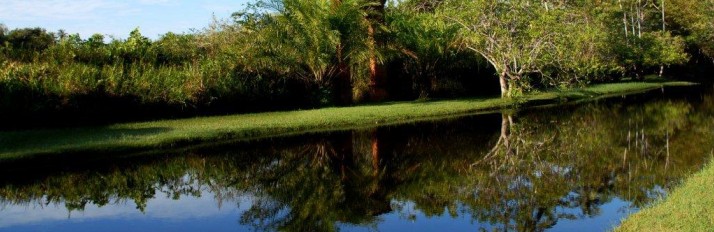 Main Pond