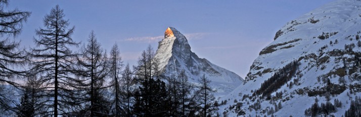 Cervo matterhorn