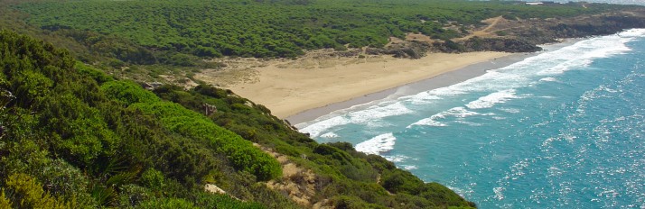 coast near escondrijo