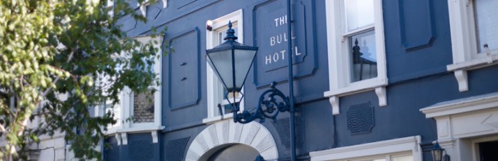 Bull-front-gold-&-tree