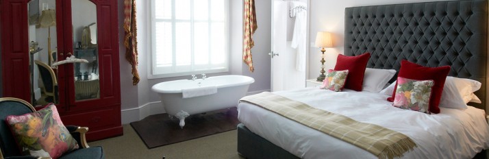 x-swan-room-1