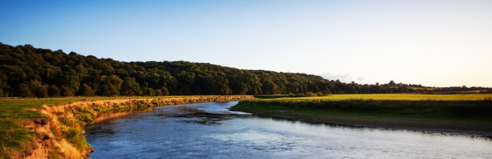 iStock_000010507591Large