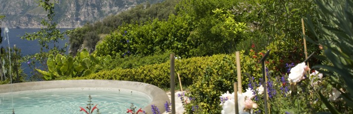 Garden 4
