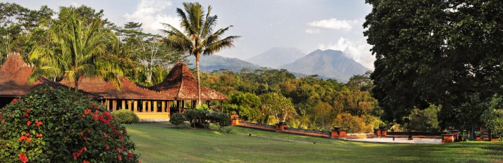 Losari Coffee Plantation - Java - Indonesia