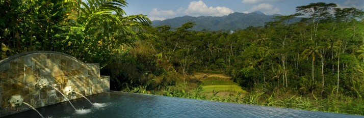 Losari Coffee Plantation - Java - Indonesia
