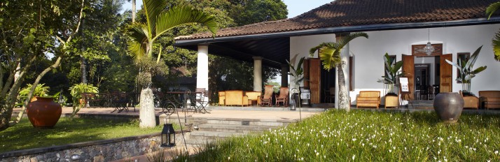 Losari Coffee Plantation - Java - Indonesia
