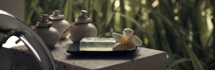 0000015242_header_4