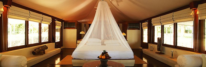 0000046986_3HeaderTent-interior