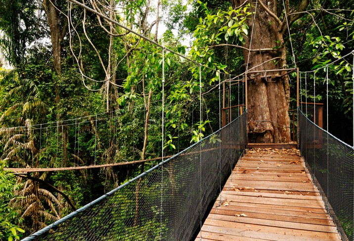 Mr & Mrs Smith - Canopy Walk