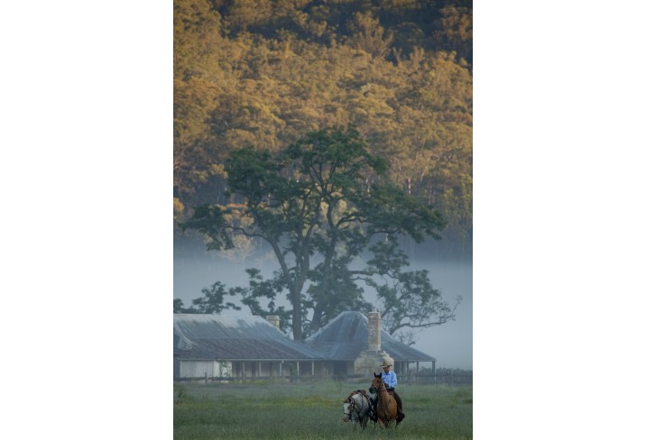 Mr & Mrs Smith - Wolgan horses