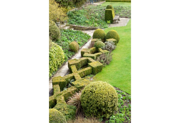 Mr & Mrs Smith - Garden