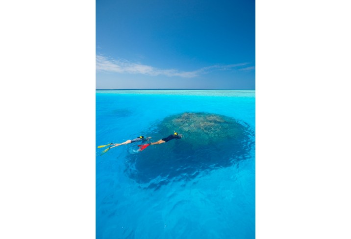 Mr & Mrs Smith - Snorkelling