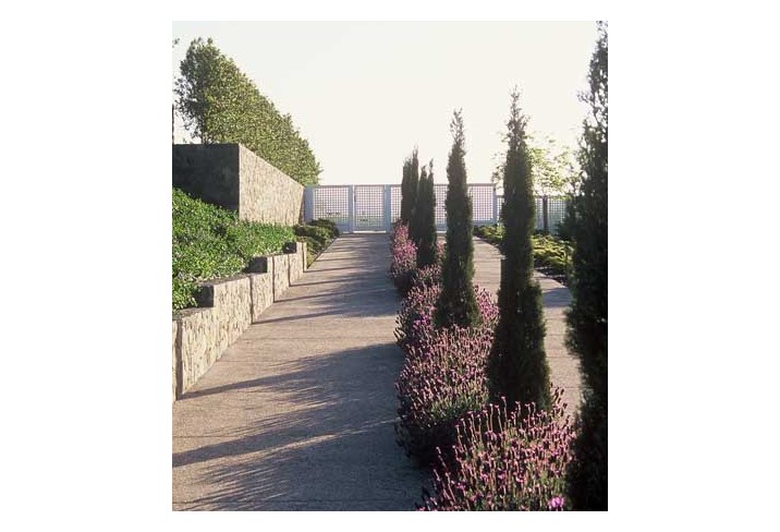 Mr & Mrs Smith - Lavender-lined paths