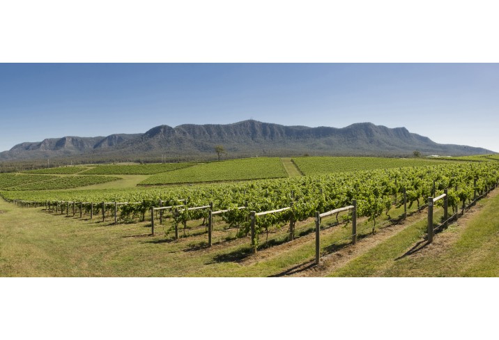 Mr & Mrs Smith - Vineyard