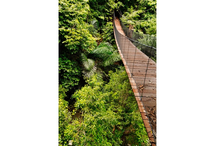 Mr & Mrs Smith - Canopy Walk
