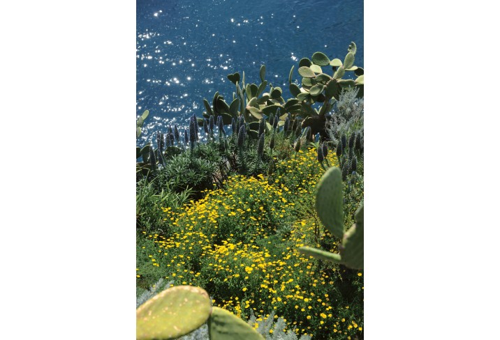 Mr & Mrs Smith - Gardens