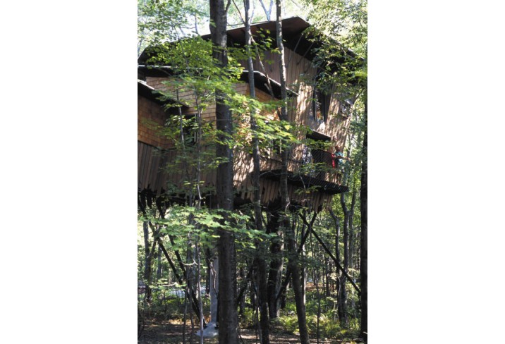 Mr & Mrs Smith - Treehouse