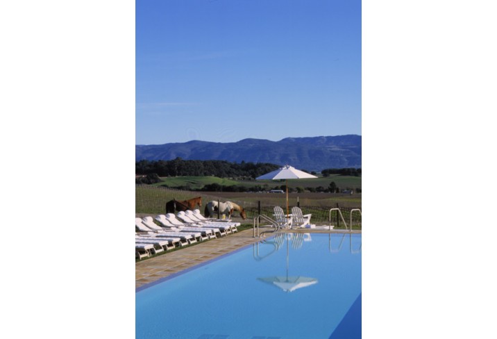 Mr & Mrs Smith - Hilltop pool