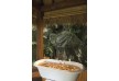 Maia Luxury Resort & Spa - Seychelles - Indian Ocean