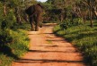 Royal Malewane Hotel â€“ Kruger National Park â€“ South Africa