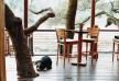Calistoga Ranch - Napa Valley - United States