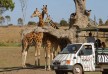 Werribee Zoo - Mansion Hotel & Spa - Melbourne - Australia