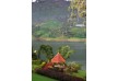 Summerville summer house - Ceylon Tea Trails - Hill Country - Sri Lanka