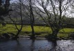 Llety Bodfor Hotel - Wales - United Kingdom