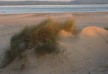 Llety Bodfor Hotel - Wales - United Kingdom