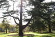 Lime Wood Hotel â€“ New Forest â€“ United Kingdom