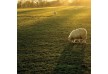 0000033520_Outdoor_2