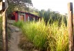 Verana â€“ Jalisco â€“ Mexico
