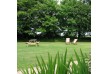 0000048186_BarnCott_Outdoor_300x300_2