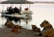 Chiawa Camp - Lower Zambezi - Zambia