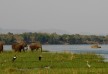 Chiawa Camp - Lower Zambezi - Zambia