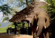 Chiawa Camp - Lower Zambezi - Zambia