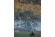 Wolgan Valley Resort & Spa hotel - Blue Mountains - Australia