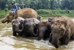Anantara Golden Triangle Resort & Spa, Chiang Rai, Thailand