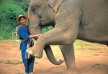 Anantara Golden Triangle Resort & Spa, Chiang Rai, Thailand