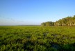 Bamurru Plains â€“ Top End â€“ Australia