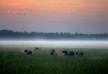 Bamurru Plains â€“ Top End â€“ Australia
